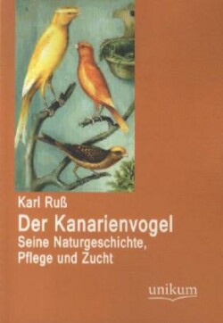 Kanarienvogel