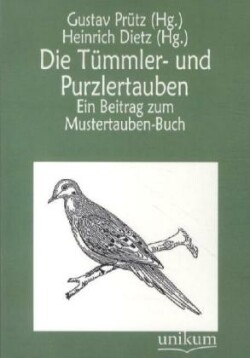 Tümmler- und Purzlertauben