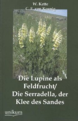 Lupine als Feldfrucht/Die Serradella, der Klee des Sandes