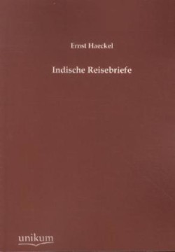 Indische Reisebriefe