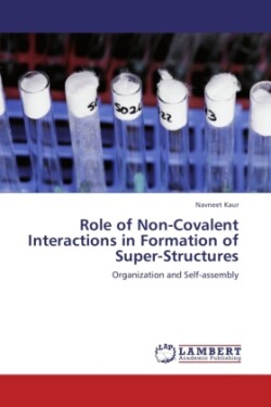Role of Non-Covalent Interactions in Formation of Super-Structures