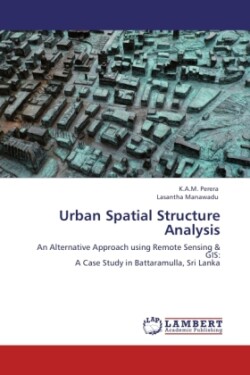 Urban Spatial Structure Analysis