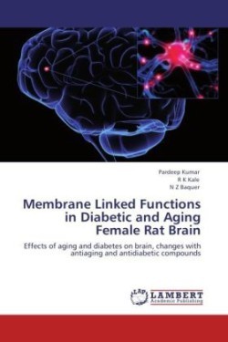 Membrane Linked Functions in Diabetic and Aging Female Rat Brain