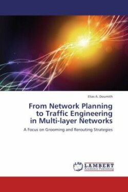 From Network Planning to Traffic Engineering in Multi-Layer Networks