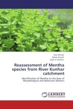 Reassessment of Mentha Species from River Kunhar Catchment