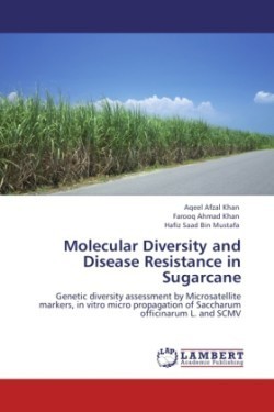 Molecular Diversity and Disease Resistance in Sugarcane