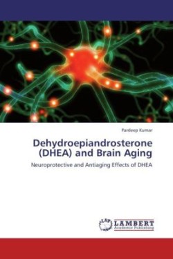 Dehydroepiandrosterone (DHEA) and Brain Aging