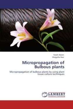 Micropropagation of Bulbous plants