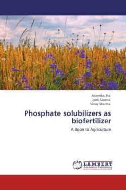 Phosphate solubilizers as biofertilizer