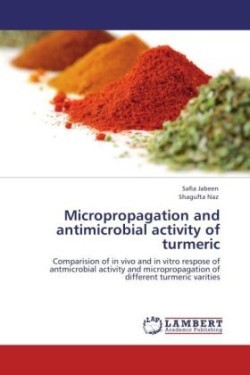 Micropropagation and Antimicrobial Activity of Turmeric