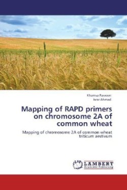 Mapping of RAPD primers on chromosome 2A of common wheat