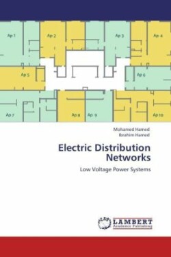 Electric Distribution Networks