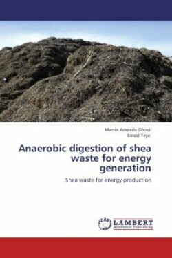 Anaerobic digestion of shea waste for energy generation