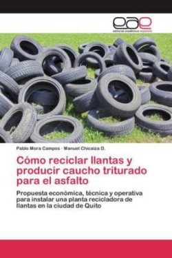 Cómo reciclar llantas y producir caucho triturado para el asfalto