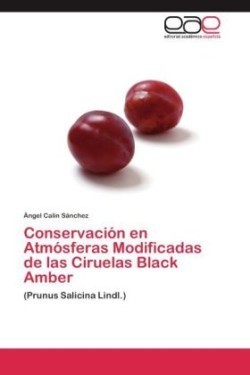 Conservación en Atmósferas Modificadas de las Ciruelas Black Amber