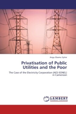 Privatisation of Public Utilities and the Poor