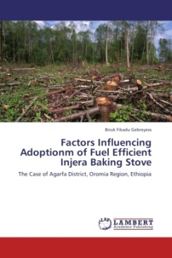 Factors Influencing Adoptionm of Fuel Efficient Injera Baking Stove