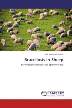 Brucellosis in Sheep