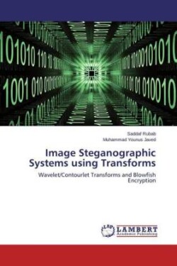 Image Steganographic Systems using Transforms