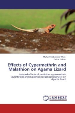 Effects of Cypermethrin and Malathion on Agama Lizard