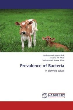 Prevalence of Bacteria
