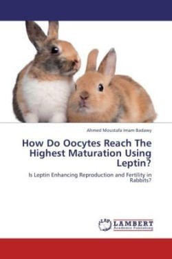 How Do Oocytes Reach the Highest Maturation Using Leptin?