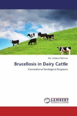 Brucellosis in Dairy Cattle