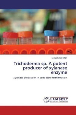 Trichoderma Sp. a Potent Producer of Xylanase Enzyme