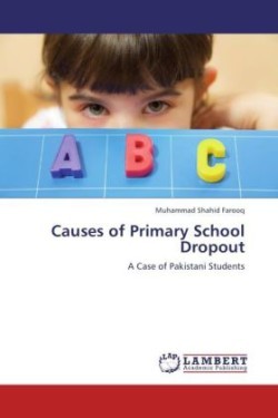 Causes of Primary School Dropout