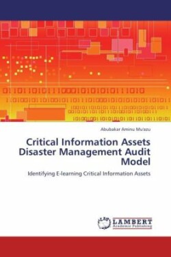 Critical Information Assets Disaster Management Audit Model