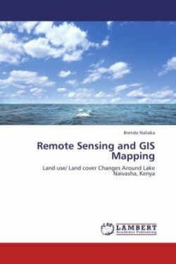 Remote Sensing and GIS Mapping