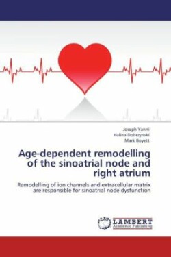 Age-Dependent Remodelling of the Sinoatrial Node and Right Atrium