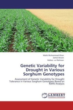 Genetic Variability for Drought in Various Sorghum Genotypes