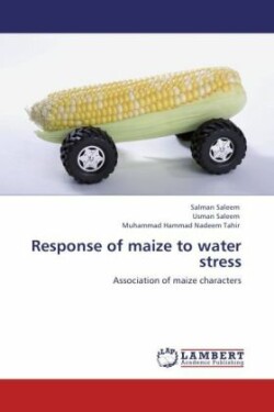 Response of maize to water stress