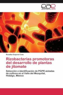 Rizobacterias promotoras del desarrollo de plantas de jitomate