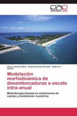 Modelación morfodinámica de desembocaduras a escala intra-anual