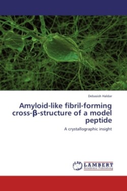Amyloid-like fibril-forming cross-β-structure of a model peptide