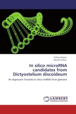 In silico microRNA candidates from Dictyostelium discoideum