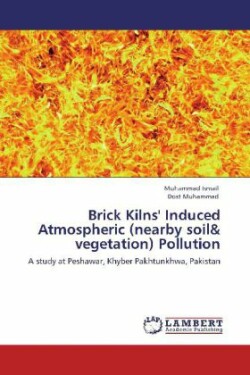 Brick Kilns' Induced Atmospheric (nearby soil & vegetation) Pollution