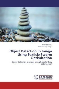 Object Detection In Image Using Particle Swarm Optimization