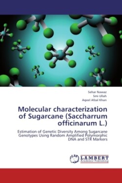 Molecular characterization of Sugarcane (Saccharrum officinarum L.)