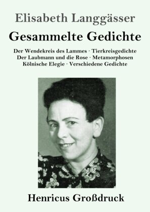 Gesammelte Gedichte (Großdruck)