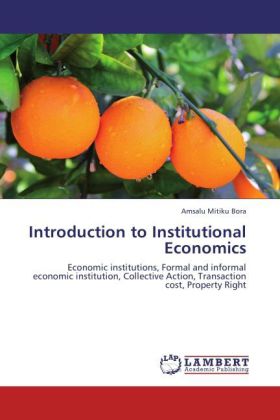 Introduction to Institutional Economics