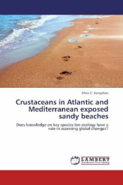 Crustaceans in Atlantic and Mediterranean exposed sandy beaches