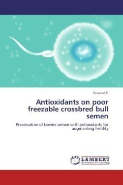 Antioxidants on poor freezable crossbred bull semen