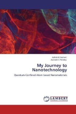 My Journey to Nanotechnology