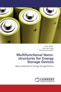 Multifunctional Nano-Structures for Energy Storage Devices