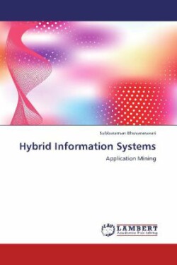 Hybrid Information Systems