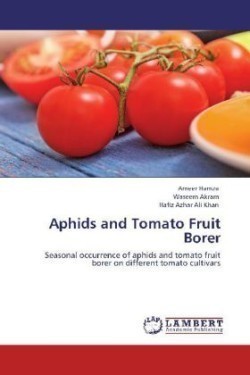 Aphids and Tomato Fruit Borer