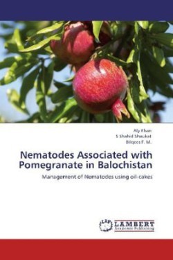 Nematodes Associated with Pomegranate in Balochistan